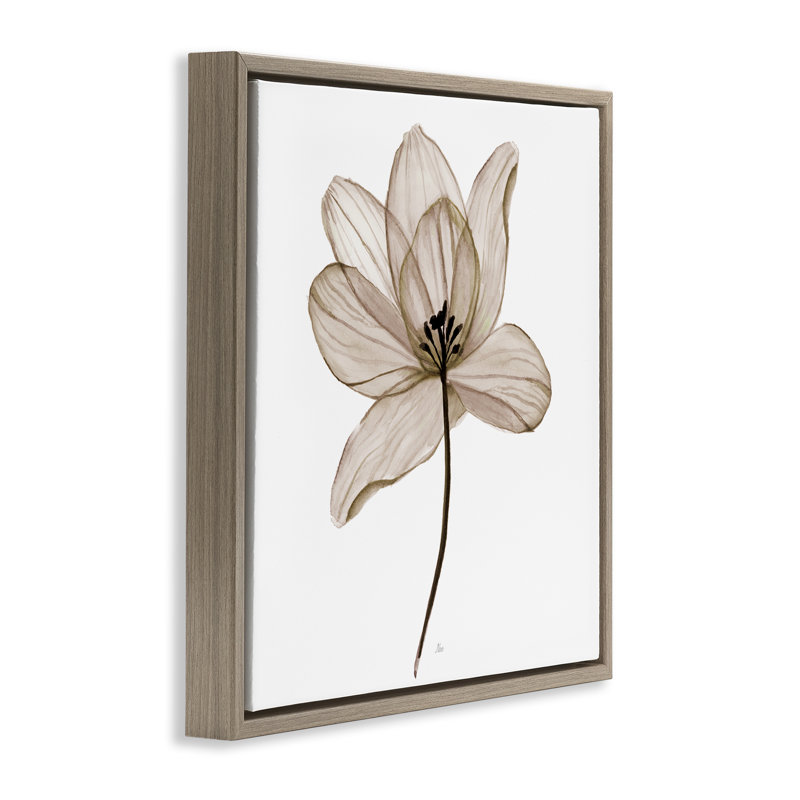 «Beige Opaque Flower Floater», art mural sur toile par Nan, Cadre flottant orme Montalcino, H 25 po x l 25 po