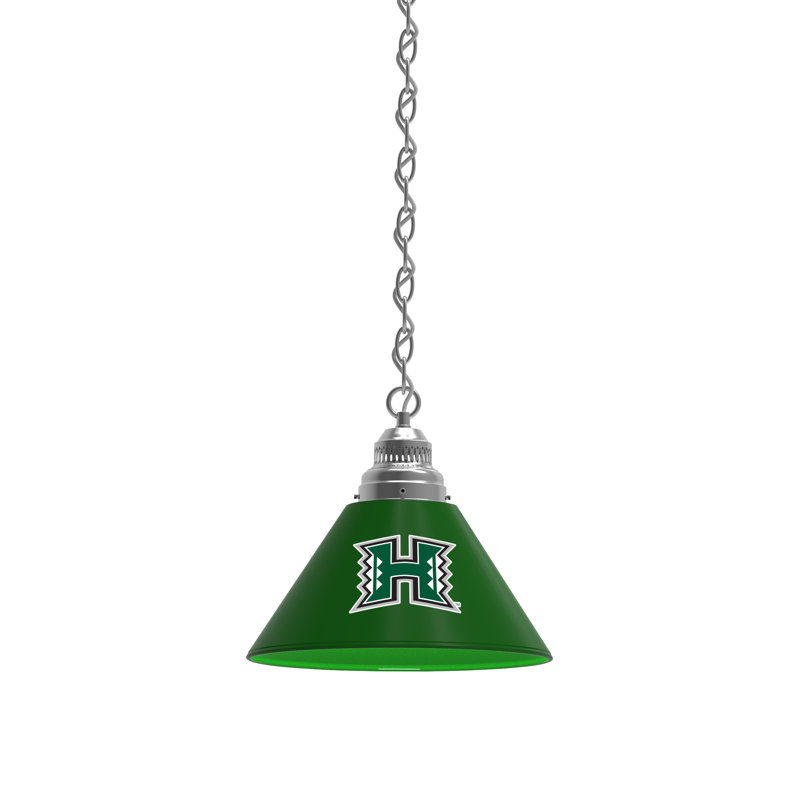 1 - Light Single Pendant, Chrome, Hawaii Rainbow Warriors