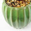 45.72cm Faux Plant in Pot