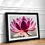 Mesmerising Lotus Flower - Framed Print-493907286-493907287