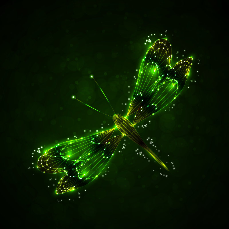 Rixensart Dragonfly by Nobi_Prizue - Wrapped Canvas Print, 30cm H x 30cm W 3.8cm D