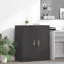 Storage Cabinet-1046416333