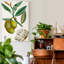 Reproduction d’art sur toile tendue « Turpin tropical fruit III »-955699843
