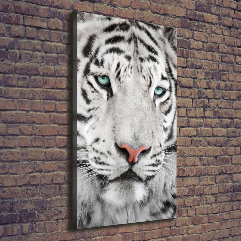 Dogs And Cats - Wrapped Canvas Print