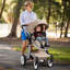 Foldable Pet Stroller-94343646