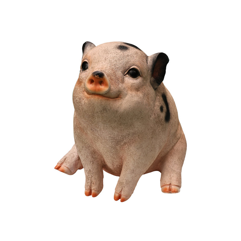 Sitting Pig Looking Up
