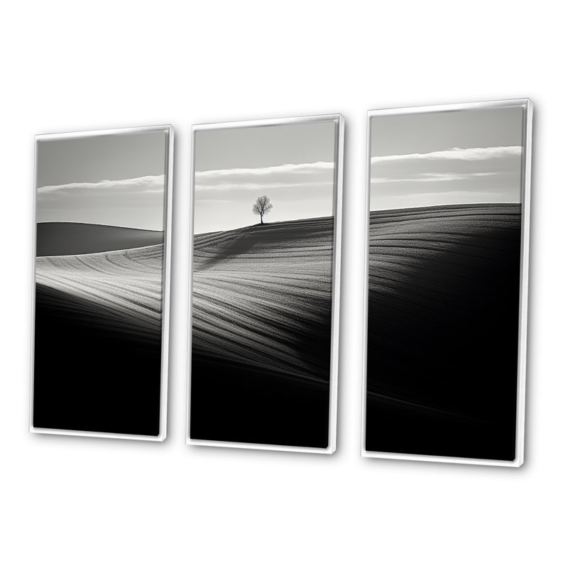«Black and White Meadow Horizon Photo III», ensemble d'art mural sur toile, Cadre flottant blanc, H 40 po x l 60 po x P 1 po