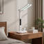 Adjustable USB Desk Lamp