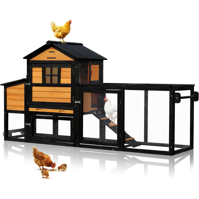 Cage à poules avec poulailler et poulailler, Brown