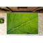 Non-Slip Outdoor Doormat