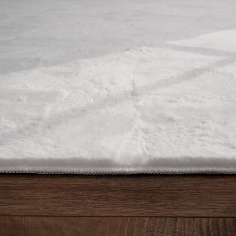 Dagoberto Uniform Color Shag Area Rug, Round 160cm
