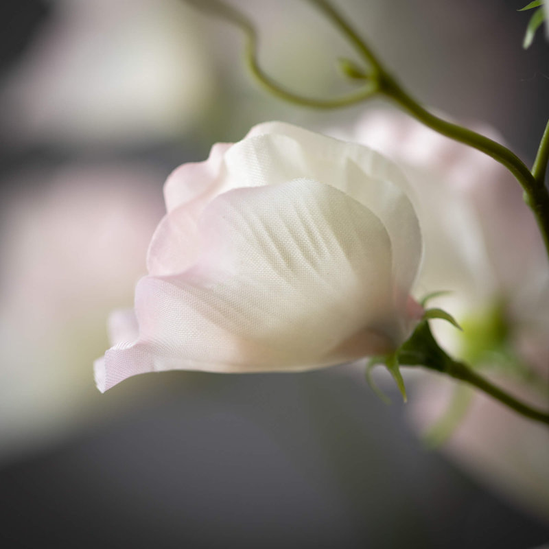 Sweet Pea Arrangement