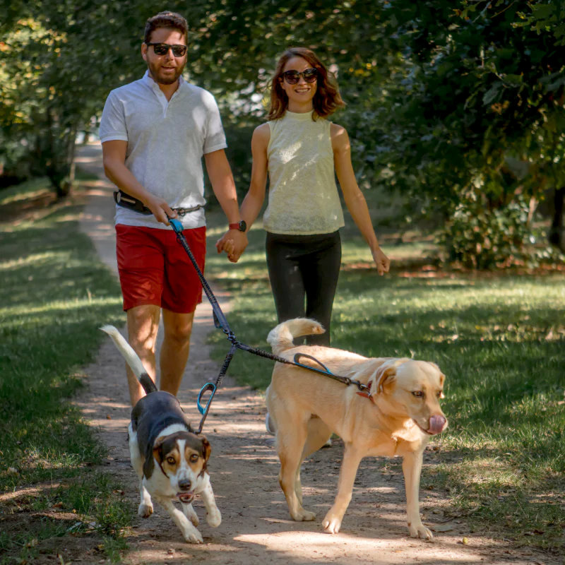2 Dog Retractable Leash, Hands Free Dog Leash For Two Medium And Large Dogs