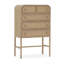 Armoire d'appoint multifonctionnelle en rotin rétro tissé