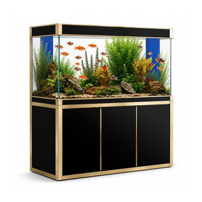 Rectangle Aquarium Tank