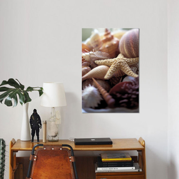 «Lone Starfish», reproduction de photo sur toile, H 12 po x l 8 po x P 0,75 po, Pas de tapis, Toile tendue
