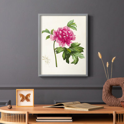 Pretty Botanicals I Framed Print - Solid Wood