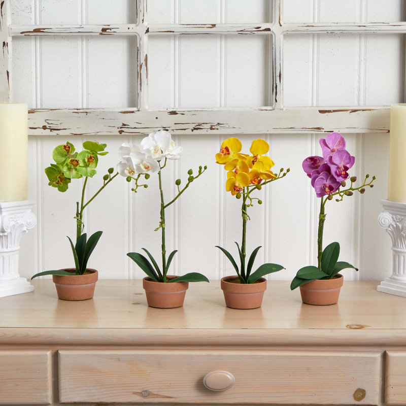 Arrangement floral d'orchidées phalaenopsis en pot d'argile