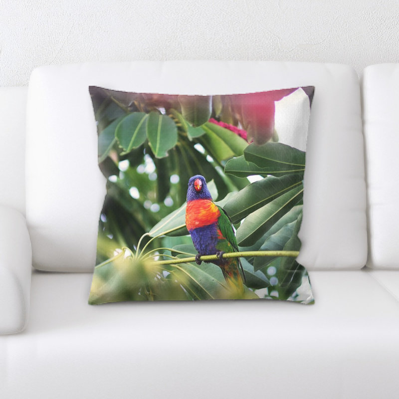 Coussin perroquet