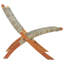 Salmon Relaxing Chair-826804590-826804591