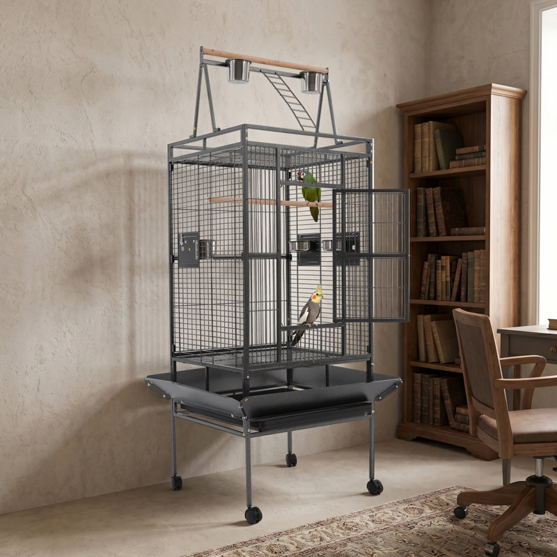 Cage à perroquet en fer forgé noir avec grande surface de jeu 68 po avec 4 roulettes verrouillables
