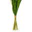 Vickerman 16"H Plum Tulip Bundle of 5.-1404122195