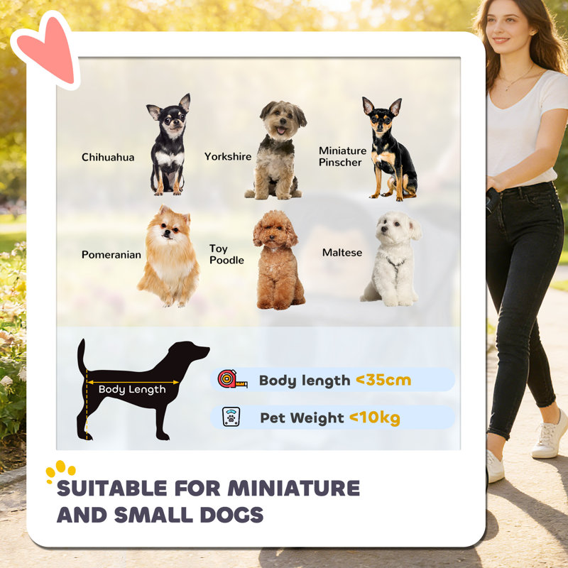 Foldable Pet Stroller