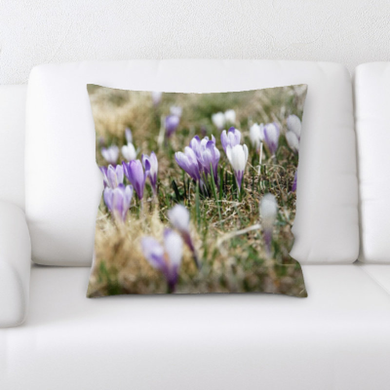 Coussin décoratif