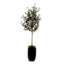 80"H Olive Tree With Faux Moss In Black Tapered Tin Planter