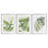 Tropical Leaves Collection 3pc Framed Print Under Glass Set, design by Errico & Slyp