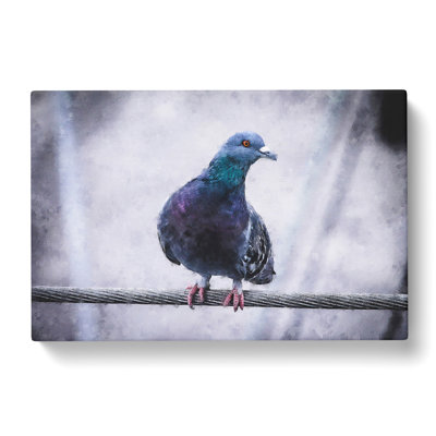 Pigeon Bird On A Wire Painting - Wrapped Canvas