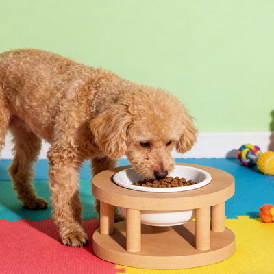Dog Bowl Stand Cat Feeder Stand Wooden Pet Bowl Holder Cat Water Bowl Stand