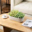 Indoor Ceramic Flower Pot Planter-2131947554