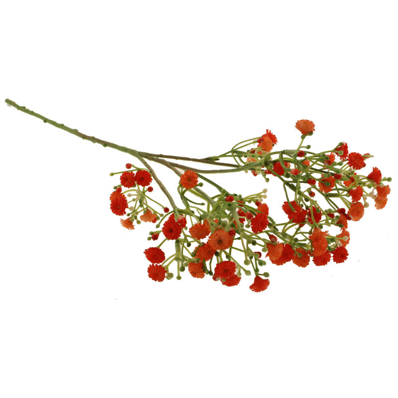 Gypsophila Arrangement, Orange