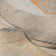 Premium Machine Washable Cerrito AMF506 Orange Rug
