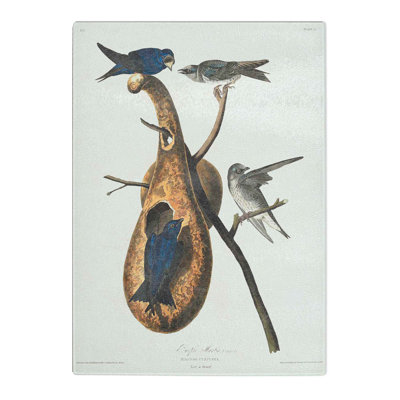 Tempered Glass Purple Martin Birds by John James Audubon Chopping Board