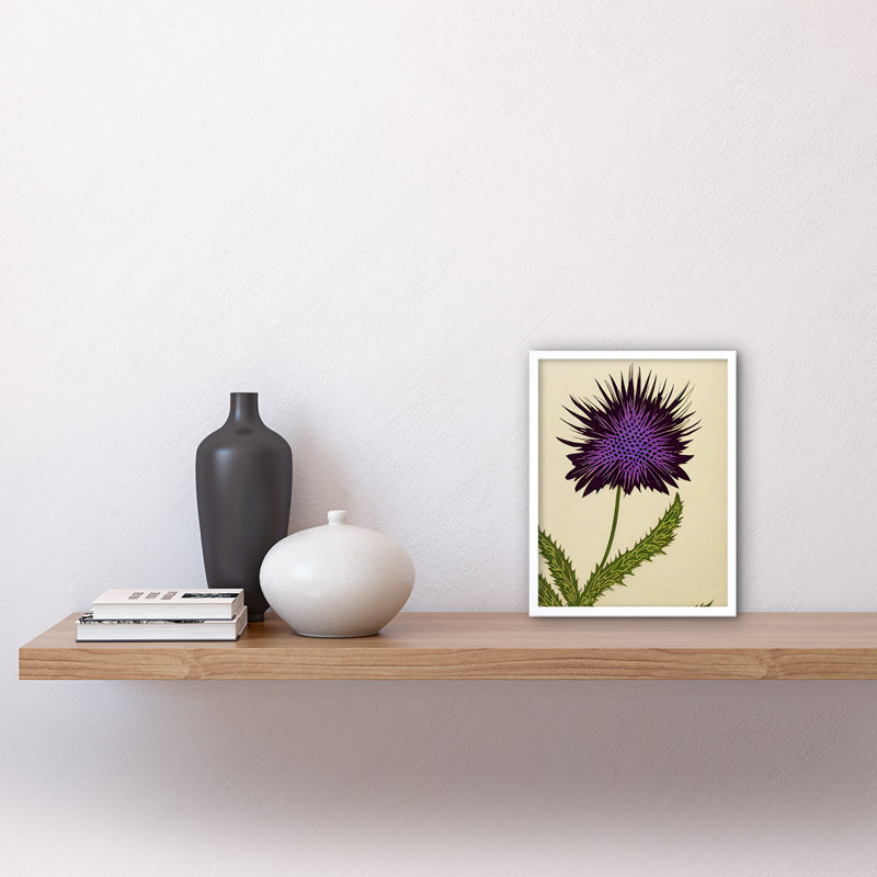 Stylized Modern Scottish Thistle Flower - Print, White Framed Paper, 25.9cm H x 20.6cm W x 1.5cm D