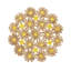 Daisy Placemat-1347902960