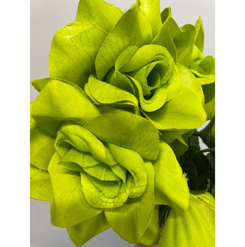 Sprays roses