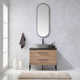 Dasher 36'' Single Bathroom Vanity with Mirror