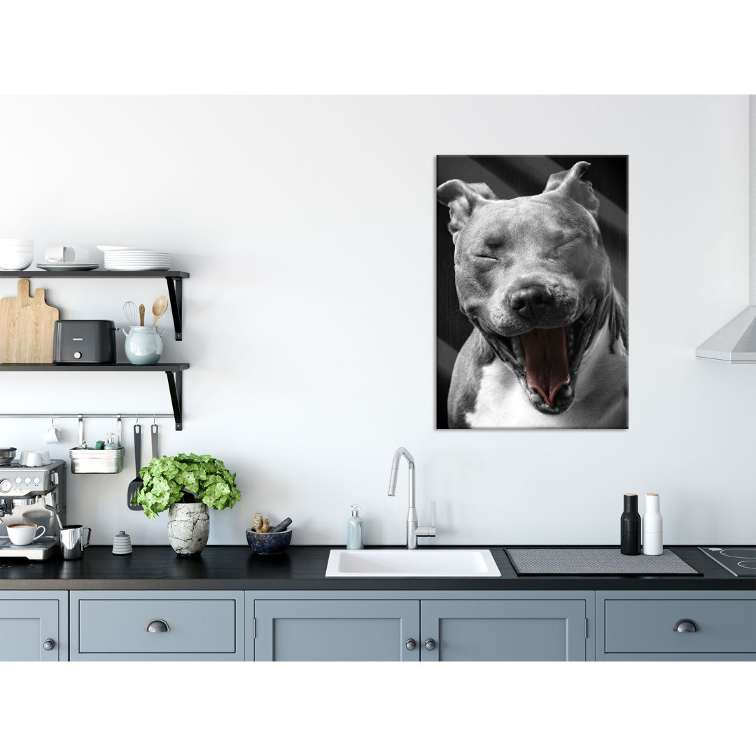 Ungerahmtes Foto auf Glas "Laughing Pit Bull"