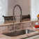 Pre-Rinse Spring Kitchen Faucet with Pull Down Sprayer and Single Handle
