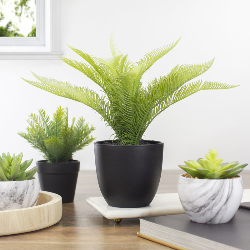 Evergreen Bliss 12" Artificial Pinus in Black Pot for Indoor/Outdoor Decor