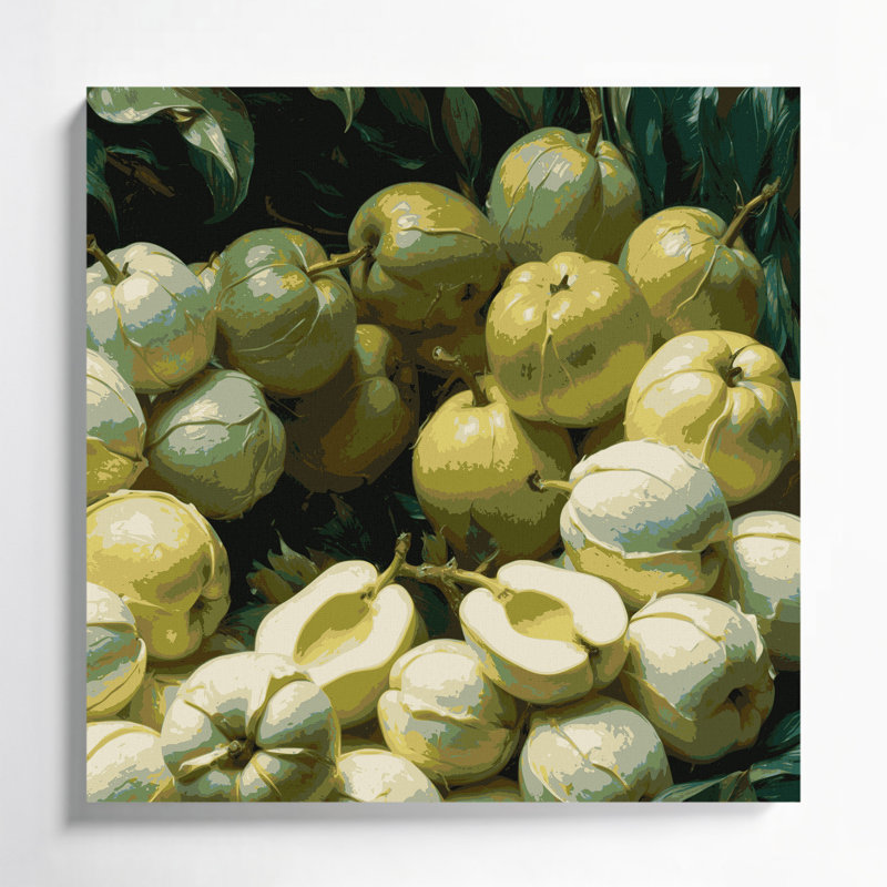 Art mural sur toile fruitier vert Sapote, H 16 po x l 16 po
