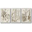 «Sepia Botanical Journal IV», ensemble de 3 pièces encadrées sur toile-97706842-97706844