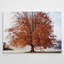 « saison of automne », reproduction d’impression sur toile tendue-26230355
