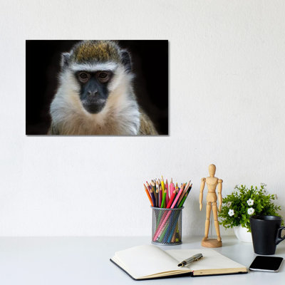 Vervet Monkey Colour by David Whelan - Wrapped Canvas Painting