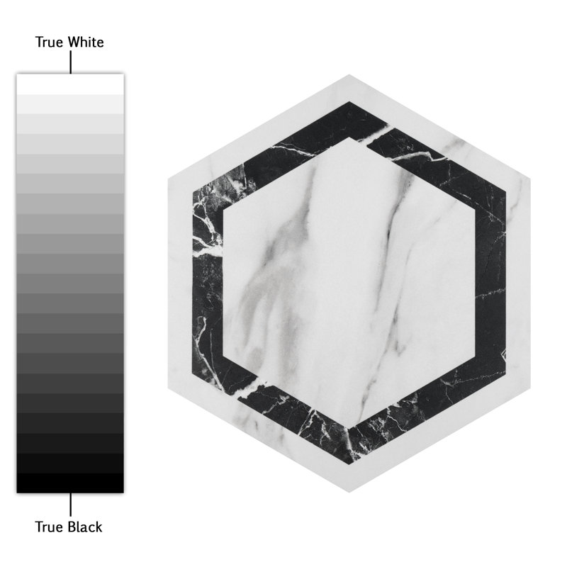 BioTech 11" x 13" Porcelain Marble Look Wall & Floor Tile, Gray/Black