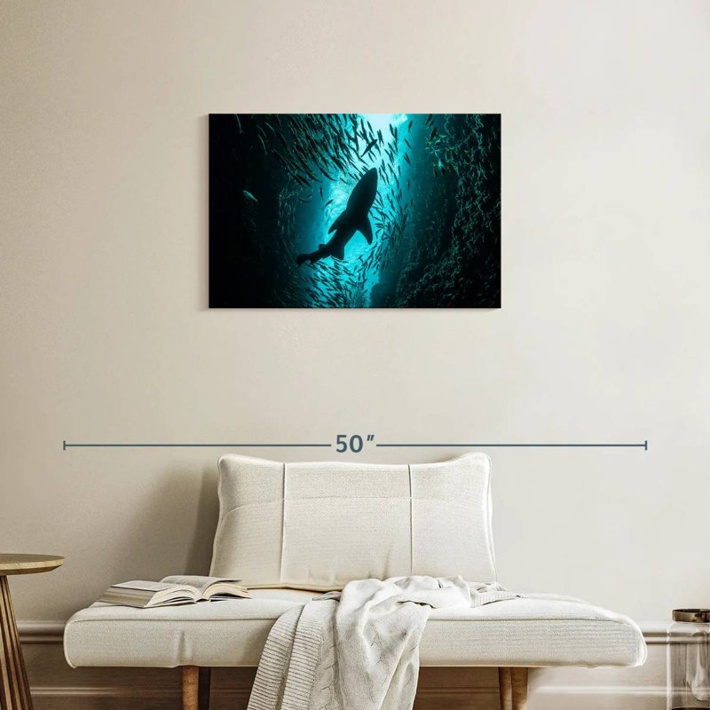 Brampt Shark Depth, 20" H x 30" W