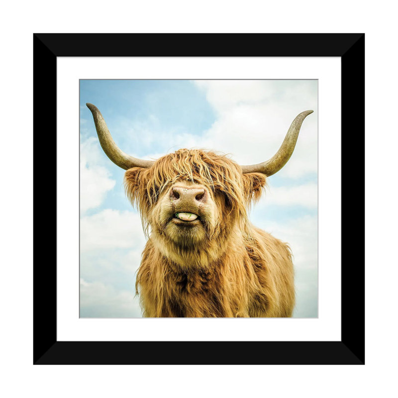 Highland Cow - impression sur toile tendue, H 16 po x l 16 po x P 1 po, Cadre noir